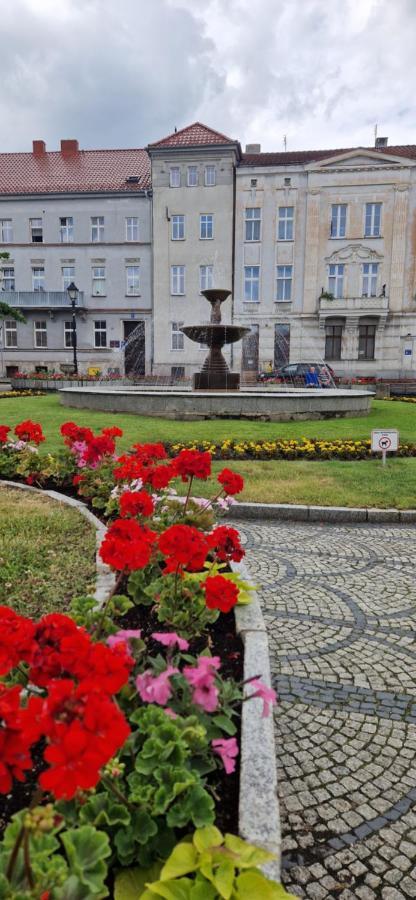 Apartament Ksiaz Świebodzice Kültér fotó